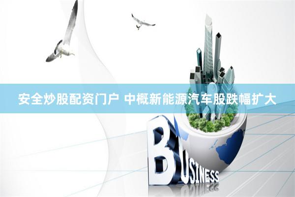 安全炒股配资门户 中概新能源汽车股跌幅扩大