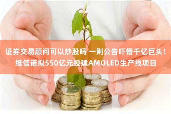 证券交易顾问可以炒股吗 一则公告吓懵千亿巨头！维信诺拟550亿元投建AMOLED生产线项目