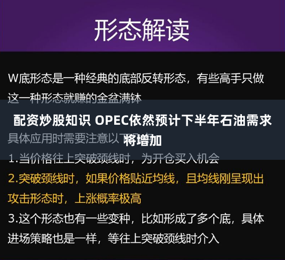 配资炒股知识 OPEC依然预计下半年石油需求将增加