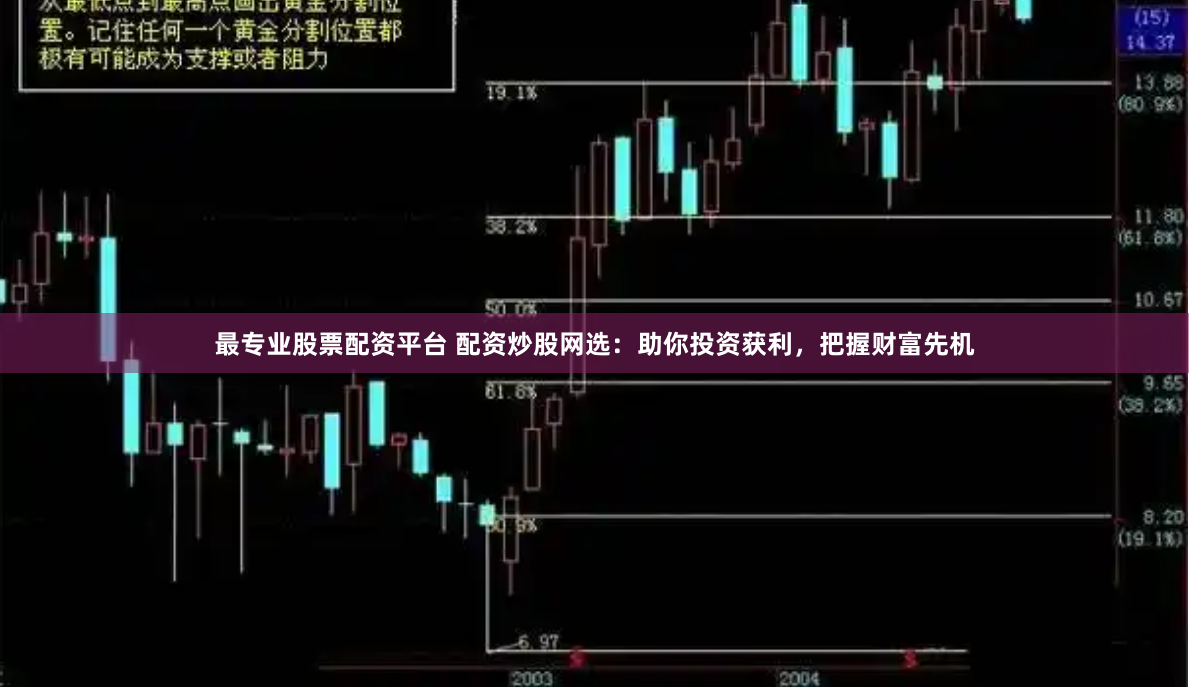 最专业股票配资平台 配资炒股网选：助你投资获利，把握财富先机
