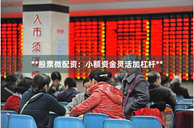 **股票微配资:小额资金灵活加杠杆**