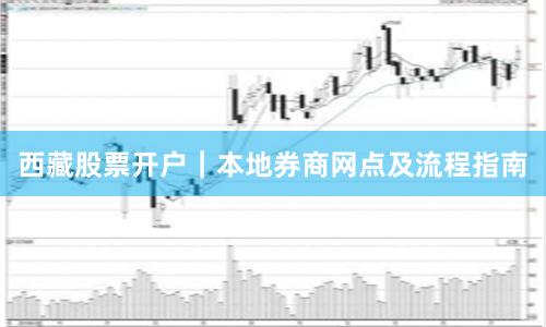 西藏股票开户｜本地券商网点及流程指南