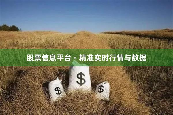 股票信息平台 - 精准实时行情与数据